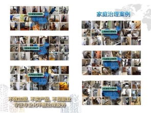 成都甲醛治理與保潔服務(wù)選擇指南 如何找到經(jīng)濟(jì)實(shí)惠的可靠公司